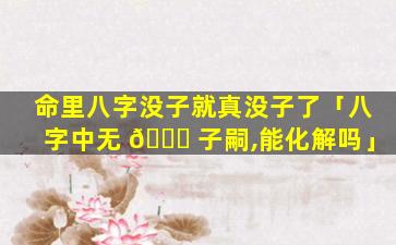 命里八字没子就真没子了「八字中无 🐎 子嗣,能化解吗」